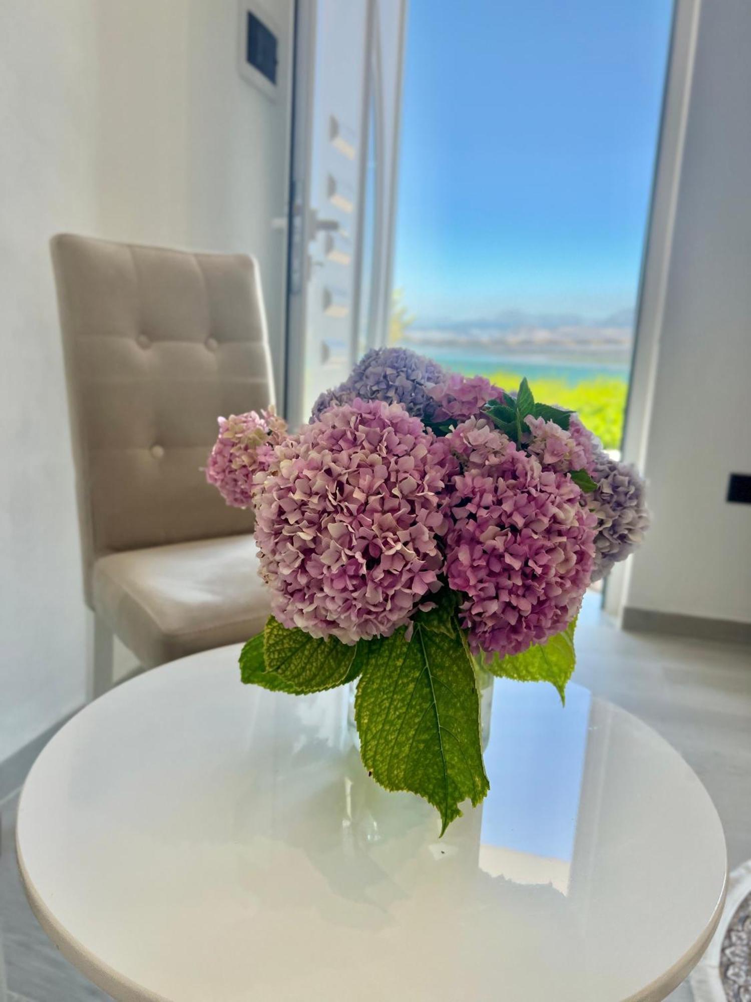 Iart Residence Široka 외부 사진