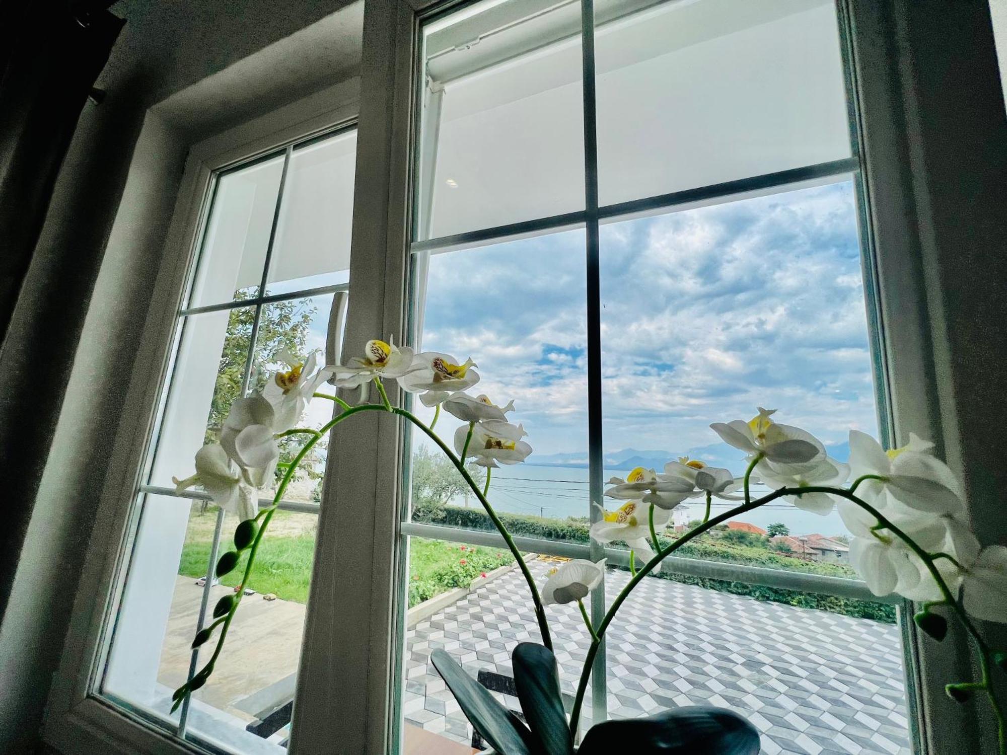 Iart Residence Široka 외부 사진