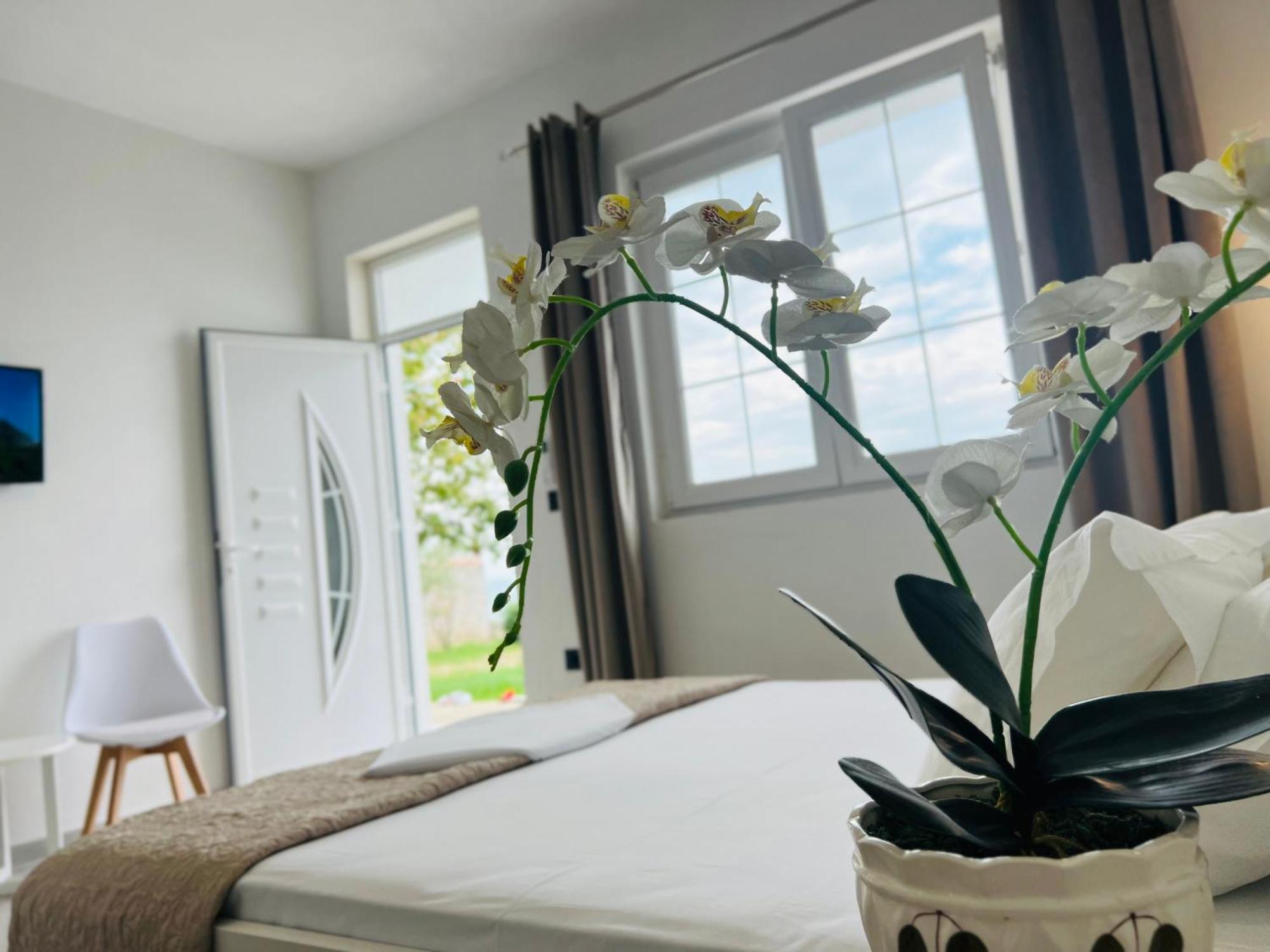 Iart Residence Široka 외부 사진