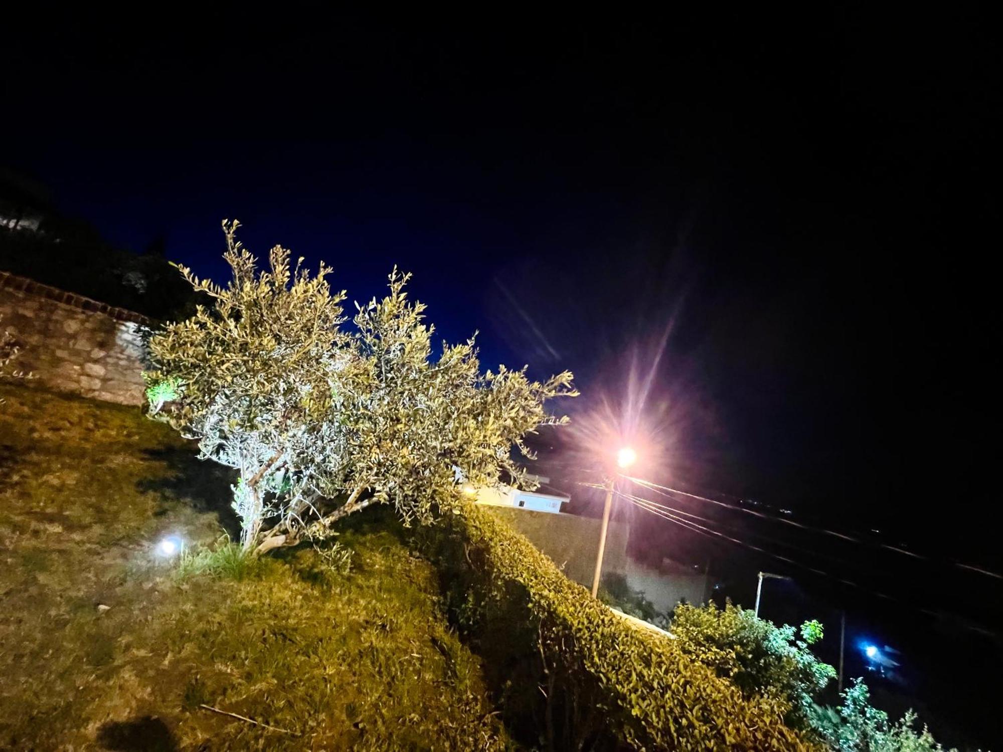 Iart Residence Široka 외부 사진
